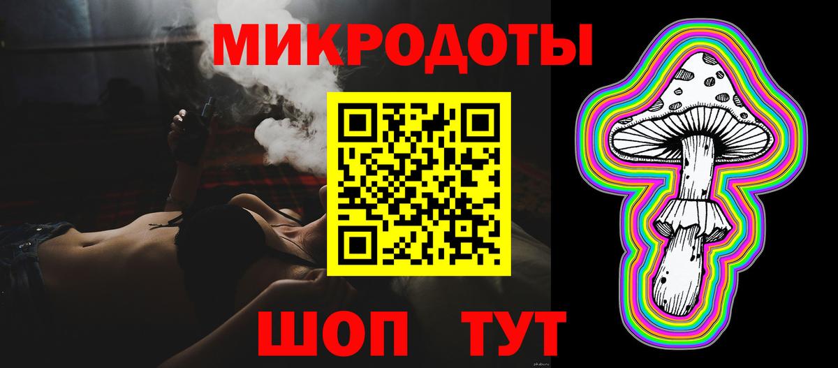 Вичуга  Галлюциногенные грибы Psilocybe  Вход с VPN 